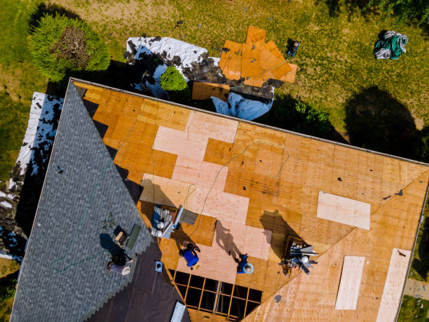 Best Local Roofing Companies  in Falls City, OR