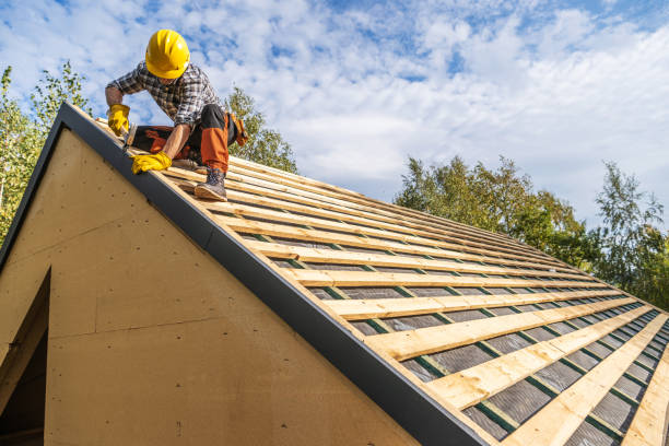 Best Roof Maintenance Services  in Falls City, OR