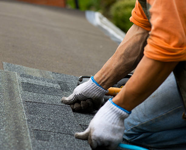 Best Roof Gutter Cleaning  in Falls City, OR